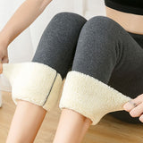 Warm Women Pants, Thick Velvet Wool,  Leggins Pants, Female Leggings