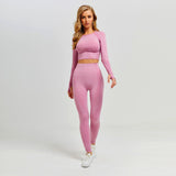 Yoga Set Gym Clothing Fitness Leggings+Cropped Shirts, Women Long Sleeve Tracksuit Active Wear